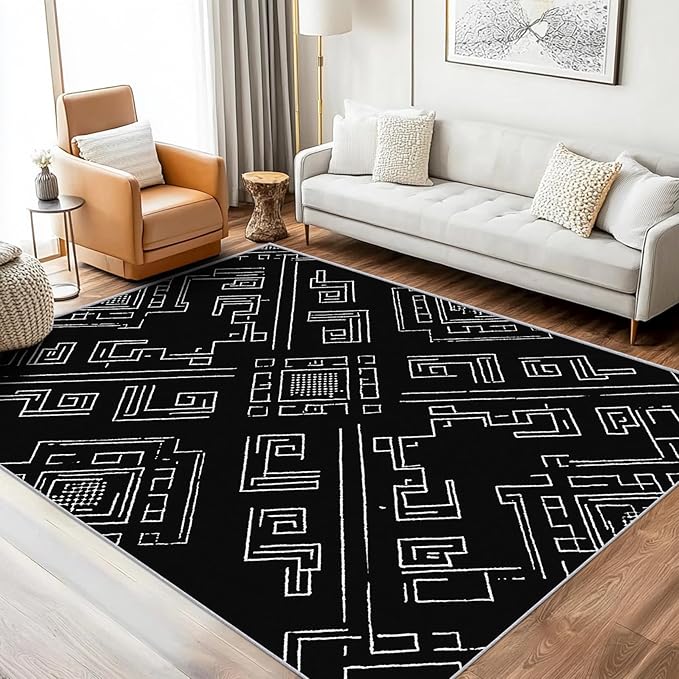 Geometric Rug, Washable 4x6 Rug for Living Room, Black and White Patterned Indoor Carpet, Modern Geometric Decor for Home, Bedroom, Soft Non Slip Thin Design FER16