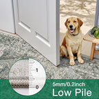 LUMI Washable Area Rug 5x8 for Living Room, Ultra Soft Stain Resistant Carpet with Non Slip Rubber Backing, Non-Shedding Low Pile Rugs for Bedroom, Dining Room, Indoor, Office