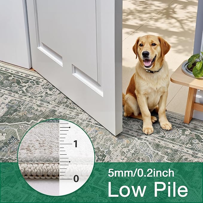 LUMI Washable Area Rug 5x8 for Living Room, Ultra Soft Stain Resistant Carpet with Non Slip Rubber Backing, Non-Shedding Low Pile Rugs for Bedroom, Dining Room, Indoor, Office