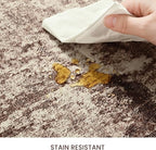 Entrance Rugs Indoor 2x3 Brown Entry Rug Washable Abstract Coffee Small Area Rug Non-Slip Low Pile Throw Rugs for Entryway, Kitchen Floor, Front Door Indoor Door Mat, Bathroom, Bedroom Bedside