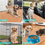 OLANLY Dog Door Mat for Muddy Paws 59x35, Absorbs Moisture and Dirt, Absorbent Non-Slip Washable Doormat, Quick Dry Chenille Mud Mat for Dogs, Entry Indoor Entryway Carpet for Inside Floor, Orange