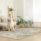 Lahome Washable Rugs 5x7 Boho Living Room Area Rug,Soft Throw Bedroom Area Rug,Retro Distressed Non-Slip Low-Pile Accent Rug Indoor Carpet for Entryway Office Home Decor(5 x 7,Beige)