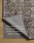 Loloi Amber Lewis Josie Collection JOS-02 Earth/Natural 9'-0" x 12'-0", .13" Pile Height, Low Profile, Machine Washable, Area Rug