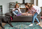 Moynesa Ultra-Thin Washable Area Rug - 4x6 Teal Living Room Rug Oriental Rugs for Bedroom, Non Slip Non Shedding Low Pile Entryway Carpet for Bedroom Dressing Room Office