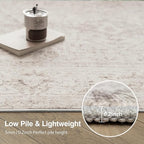 FMFUNCTEX 4x6 Washable Area Rug Neutral Vintage Beige Distressed Non Slip Low Pile Traditional Indoor Carpet for Living Room Bedroom Soft Retro Mat Throw Rug for Dining Office Kitchen Dorm Entryway