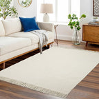 Collive 4x6 Small Area Rug for Living Room, White/Beige Woven Cotton Bedroom Carpets Modern Comfy Indoor Nursery Rug Farmhouse Accent Carpet for Dining Room, Bedside, Office, Patio Decor