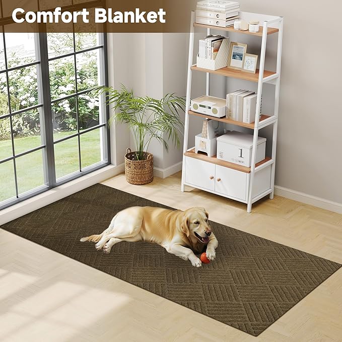 jxgzyy Door Mat, 3'11" x 2'8" Non Slip Carpet Runner, Dirt Trapper Indoor/Outdoor Floor Mats for Patio, Front Door, Garage, Front Back Door, Entryway, Waterproof, Brown