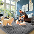 Dark Gray Fluffy Rug Plush Carpet for Bedroom Dorm, Non-Slip High Pile Rug, Shag Rug for Playroom Nursery Home Office Decor 6X9 Ft