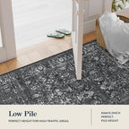 Lahome Washable Black 4x6 Area Rugs for Living Room Bedroom, Boho Vintage Non Slip Stain Resistant Floor Dining Room Carpet for Office Entrance Decor