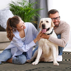 Lahome Modern Geometric Outdoor Easy Jute Rug, 3x5 Indoor Outdoor Rugs for Entryway Black Living Room Carpet, Farmhouse Washable Non Slip Carpet for Patio Courtyard Bedroom