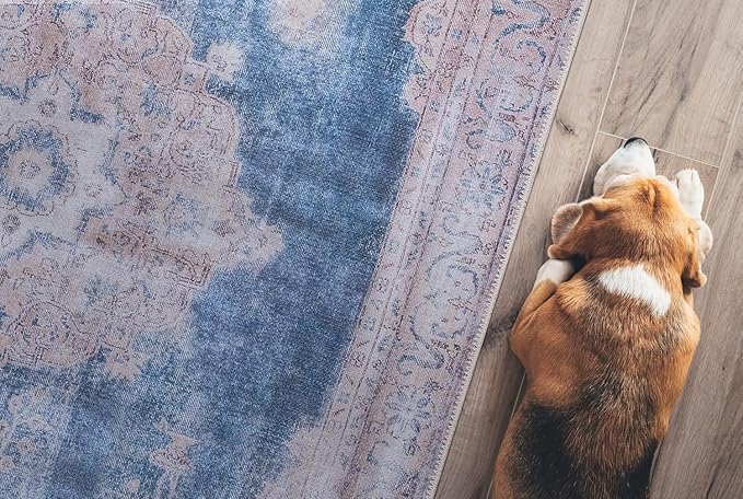 GLN Rugs Traditional Collection - Machine Washable Area Rug, Traditional Washable, Non Slip, Low Pile Chenille Rug, Living Room, Bedroom, Kitchen Rug (5' x 7' Cream/Navy)