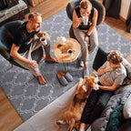 Amearea Fluffy Indoor Trellis Rug, Soft Moroccan Home Rugs for Bedroom, Shag Modern Area Rug for Living Room Kids Room Nursery, Easy Clean, Home Decor Low Pile Carpet, Light Grey 4x6 Feet