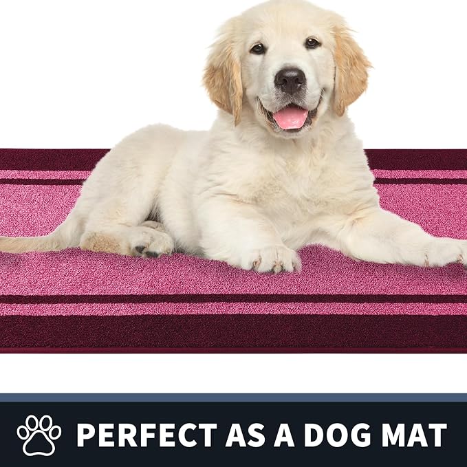PURRUGS Dirt Trapping Door Mat 32" x 48", Non-Slip/Skid Machine Washable Entryway Rug, Shoes Scraper, Area Rug, Super Absorbent Welcome Mat for Muddy Wet Shoes and Paws, Pink & Burgundy Red