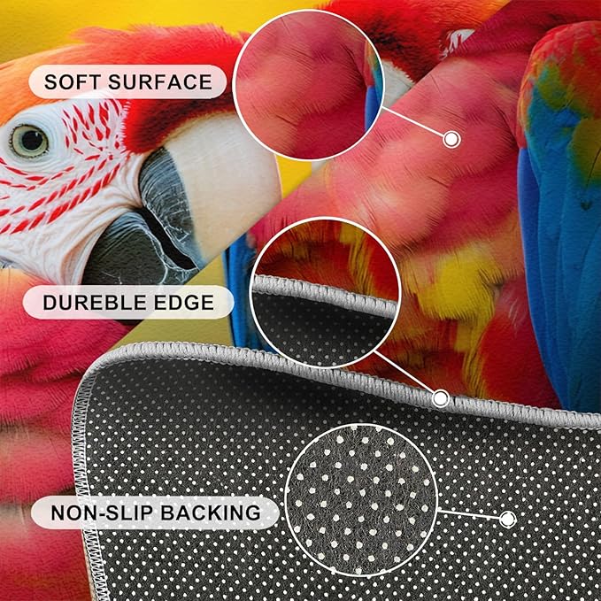 Parrot Rugs for Bedroom - 3x4 Area Rug - Cute Parrot Rugs for Living Room, Colorful 3D Animal Rug, Non-Slip Washable Home Decor Carpet