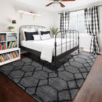 ONASAR Area Rugs for Bedroom Living Room, Washable 4x6 Fluffy Grey and Black Rug, Shaggy Geometric Floor Mat for Home Decor Aesthetic, Soft Plush Fuzzy Carpet for Nursery Kids Teen Dorm