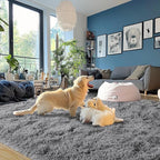 Dark Gray Fluffy Rug Plush Carpet for Bedroom Dorm, Non-Slip High Pile Rug, Shag Rug for Playroom Nursery Home Office Decor 6X9 Ft