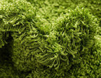 Unique Loom Solid Shag Collection Area Rug (2' x 6' 5" Runner, Grass Green)