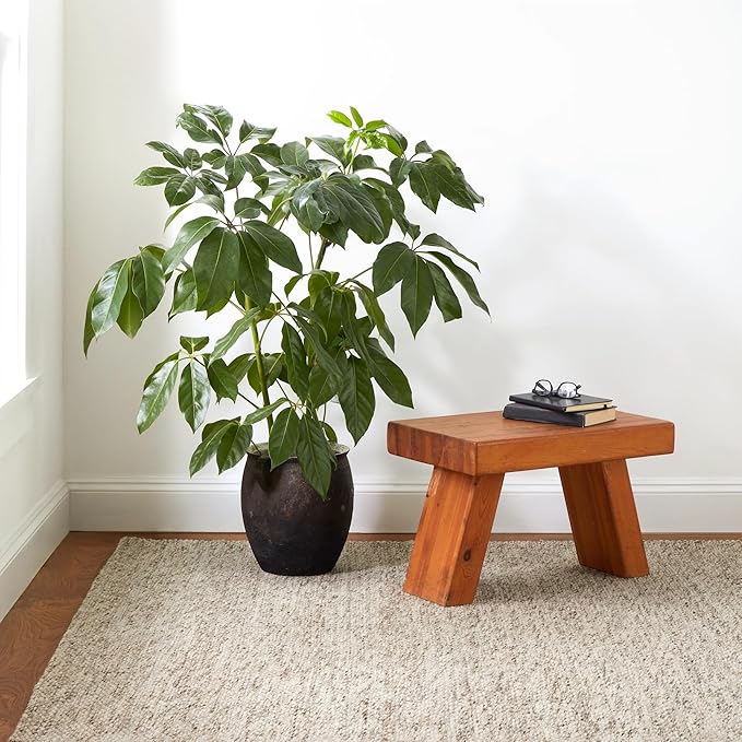Dash & Albert Loggia Natural Handwoven Wool Rug, 5 X 8 Feet, Natural Solid Pattern - Premium Luxury Hotel Quality Soft Breathable Hypoallergenic Machine Washable Easy Care All Season Comfortable