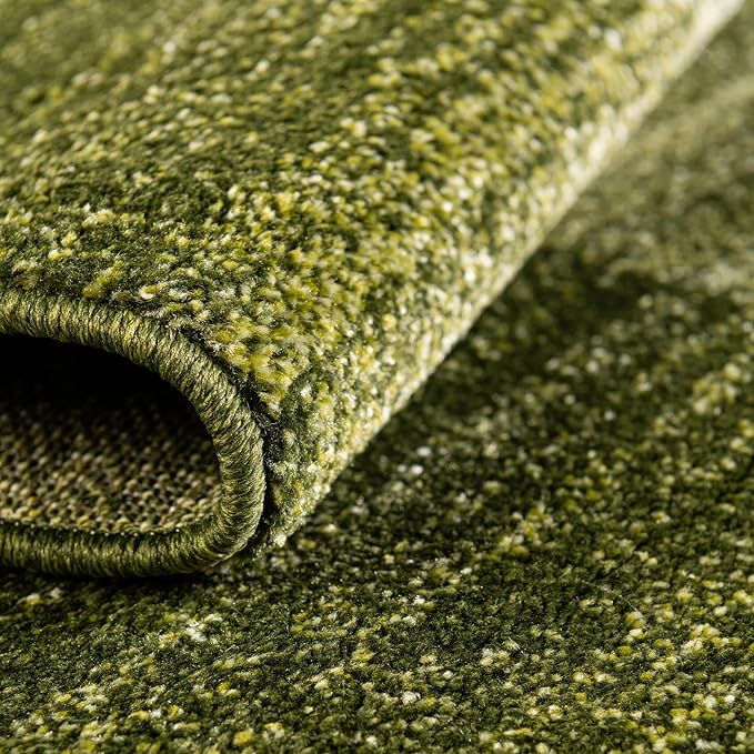Rugs.com Angelica Collection Rug – 9' x 12' Light Green Medium Rug Perfect for Living Rooms, Large Dining Rooms, Open Floorplans