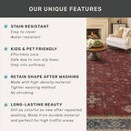 Washable 3x4 Rugs for Entryway - Burgundy Large Kitchen Rug, Non Slip Inside Door Mats for Home Entrance, Unique Bohemian Red Low Pile Thin Carpet for Bedroom Bedside, Foyer