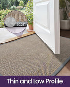 DEXI Ultra Thin Entryway Door Mat 17x30, Non Slip Rubber Backing Inside Entry Mat, Low Profile Easy Clean Dirt Trapper Doormat for Inside Entrance Patio, Grey