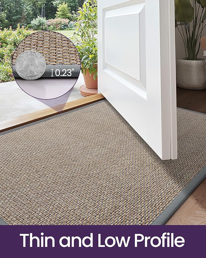 DEXI Ultra Thin Entryway Door Mat 24x36, Non Slip Rubber Backing Inside Entry Mat, Low Profile Easy Clean Dirt Trapper Doormat for Inside Entrance Patio, Grey