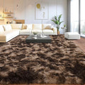 Upgrade Non-Slip Plush Rugs for Living Room, Soft Shaggy Carpets for Living Room, Fuzzy Rugs for Kids' Room, Perfect Decor for Modern Home Tie Dye Coffee 8x10Feet