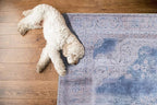 GLN Rugs Traditional Collection - Machine Washable Area Rug, Traditional Washable, Non Slip, Low Pile Chenille Rug, Living Room, Bedroom, Kitchen Rug (3' x 5' Cream/Navy)