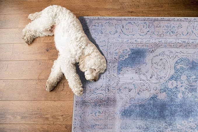 GLN Rugs Traditional Collection - Machine Washable Area Rug, Traditional Washable, Non Slip, Low Pile Chenille Rug, Living Room, Bedroom, Kitchen Rug (2' x 3' Cream/Navy)