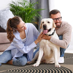 Lahome Modern Rainbow Easy Jute 6x9 Rug, Large Living Room Carpet Washable Outdoor Patio Dining Room Rug, Non Slip Indoor Outdoor Carpet for Backyard Deck Office Decor