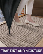 DEXI Front Entryway Door Mat Non Slip 32x48, Washable Entry Way Mats Inside Entrance Low Profile, Welcome Doormat Dirt Trapper for House Floor Home Porter Hall Backdoor Area, Light Taupe