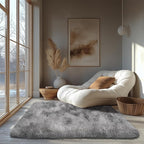 Zentavio Area Rugs for Living Room Small Carpet for Bedroom 3x5 Bedside Washable Soft Fluffy Shag Aesthetic Plush High Pile Throw Rug for Nursery Kids Room Dorm Room
