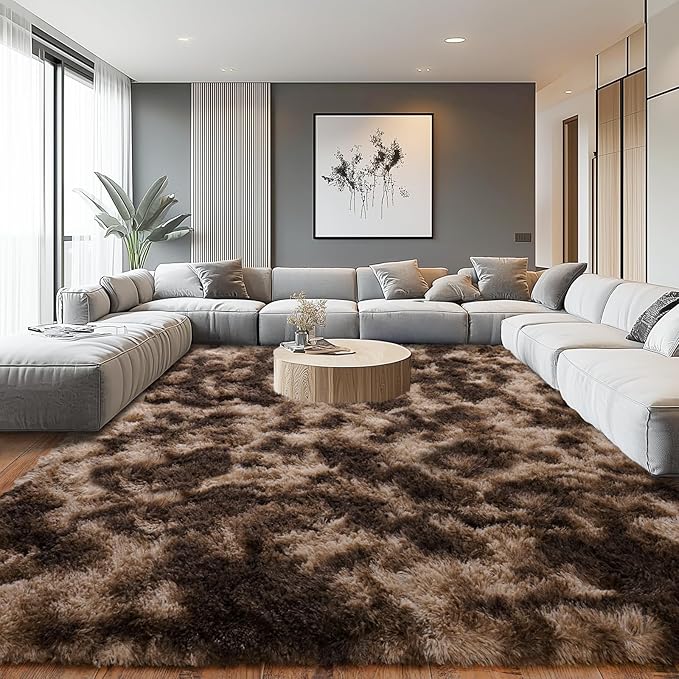 Upgrade Non-Slip Plush Rugs for Living Room, Soft Shaggy Carpets for Living Room, Fuzzy Rugs for Kids' Room, Perfect Decor for Modern Home Tie Dye Coffee 6x9Feet