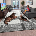 LOCHAS Rug for Living Room, Washable Soft Area Rugs for Bedroom 8x10, Abstract Carpet for Indoor Office Kids Dining Room Nursery Floor, Grey Geometric Vintage Home Decor, Non Slip, Pet Child Friendly