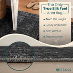Istana 2x3 Area Rug - Black Boho Rugs for Living Room 2x3 - Foldable Small Rugs for Bedroom - Stain Resistant Washable Rug Non Slip - Eco-Friendly Area Rugs Indoor