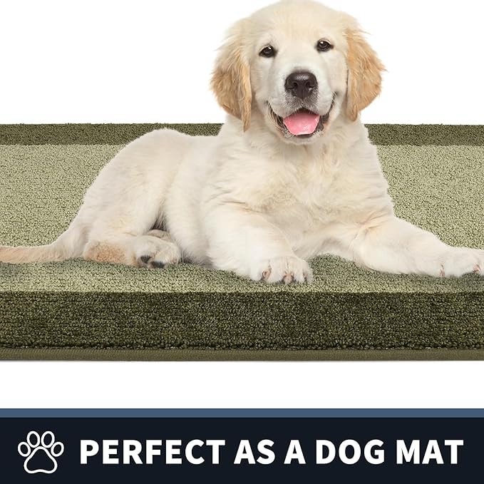 PURRUGS Dirt Trapping Door Mat 32" x 48", Non-Slip/Skid Machine Washable Entryway Rug, Shoes Scraper, Throw Rug, Super Absorbent Area Rug for Muddy Wet Shoes and Paws, Budding Green & Sage Green