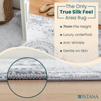 Istana 2x3 Area Rug - Grey/Gold Boho Rugs for Living Room 2x3 - Foldable Small Rugs for Bedroom - Stain Resistant Washable Rug Non Slip - Eco-Friendly Area Rugs Indoor