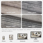 Joydeco 5x7 Area Rugs for Living Room, Washable Modern Abstract Non Slip Soft Rug, Low Pile Carpet for Bedroom, Dining Room, Home Office, Pet & Child Friendly, Beige & White & Dark Gray