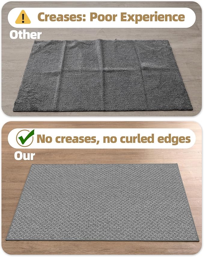Color&Geometry Ultra Thin Indoor Door Mat Non Slip Rubber Backed Dirt Trapper 32"x48"(Rolled-up NO Creases), Rugs for Entryway, Front Door Mat Indoor Washable Low-Profile Entry Mat, Light Grey