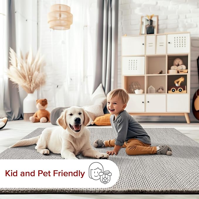 Nuloom Penelope Light Grey/Ivory, 4' x 6', Hand-Braided, Wool & Cotton, Soft and Textured, High Traffic, Stain Resistant, Easy Clean, Durable Area Rug for Bedroom, Living Room, Dining, Entryway