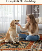 Area Rug 6x9 Rug Machine Washable Non-Slip Low Pile Print Pattern Western Rug Fall Rug for Living Room Bedroom Entryway Tribal Series -Orange/Brown