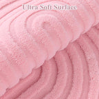 Pauwer 2x3 Washable Area Rugs for Living Room Modern Pink Solid Color Soft Fluffy Rugs for Bedroom Non Slip Boho Accent Indoor Mat Floor Carpet Cover for Kids Room Dining Room Kitchen Office, Pink