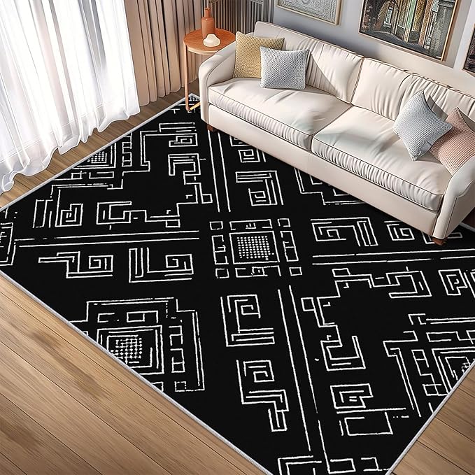 Geometric Rug, Washable 5x6 Rug for Living Room, Black and White Patterned Indoor Carpet, Modern Geometric Decor for Home, Bedroom, Soft Non Slip Thin Design FER17