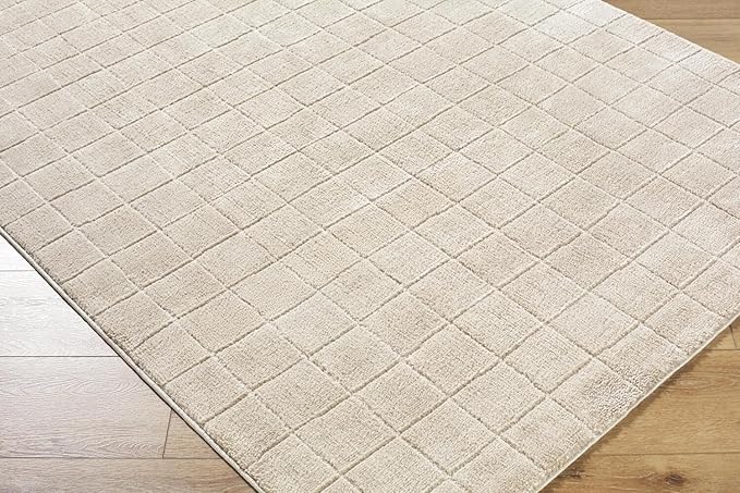 Livabliss x Our PNW Home Cascade Minimalist Grid Area Rug, 2'7" x 12', Light Beige