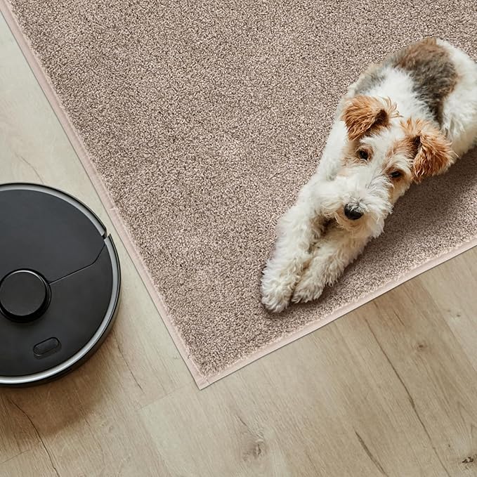 PURRUGS Easy Care Area Rug 4ft x 6ft, Non-Slip Machine Washable Entryway Rug, Dog Door Mat, Stain Resistant Accent Rug for Hallway, Living Room, Bedroom and Mudroom, Taupe
