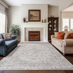 Area Rug - 9x12 Large Dining Room Rug Soft Living Room Mat, Vintage Washable Indoor Floor Throw Carpet for Bedroom, Playroom, Home Office (Grey)