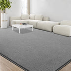 Large Area Rugs for Living Room Bedroom, 4x6 Feet Grey Rug, Minimalist Modern Shag Rug, Soft Thick Comfy Memory Foam Indoor Carpet, Non-Slip Washable Rug for Boys Girls Dorm Nursery Room Home Decor