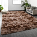 Large Shag Area Rugs 6 x 9, Tie-Dyed Plush Fuzzy Rugs for Living Room, Ultra Soft Fluffy Furry Rug for Bedroom, Indoor Carpet Nursery Rugs for Kids Room Home Decor, Coffee
