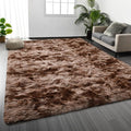 Shag Area Rug, 4 X 6 Tie-Dyed Plush Fuzzy Rugs for Living Room, Ultra Soft Fluffy Furry Rug for Bedroom, Indoor Carpet Nursery Rugs for Kids Room Home Decor, Coffee