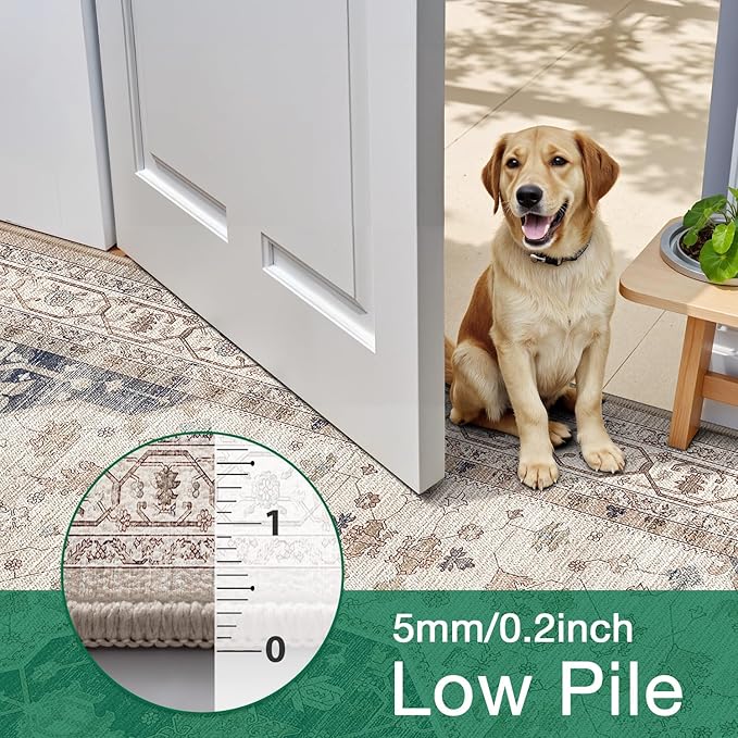 LUMI Washable Area Rug for Living Room, 5x8 Ultra Soft Traditional Rugs Non Slip with Rubber Backing, Low Profile, High Traffic, Stain Resistant Carpets, Ideal for Bedroom, Dining Room, Indoor